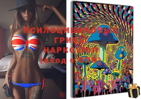 дмт Балабаново